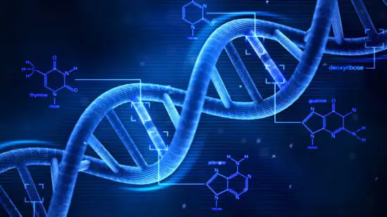 人群减少环境污染物接触有效措施从而提高试管成功率