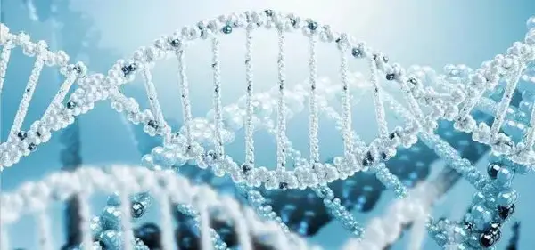 POS血清微囊泡microRNA高通量测序及生物信息学分析