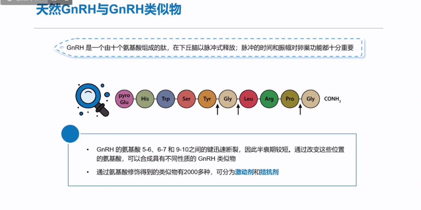 正常反应人群拮抗剂方案应用优势-GnRH激动剂与拮抗剂的区别