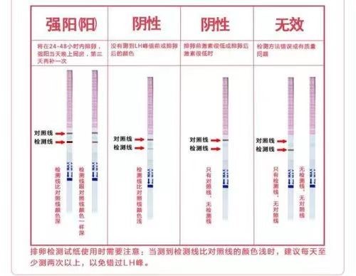 一文解析排卵试纸结果判断方法， 教你怎么看图解