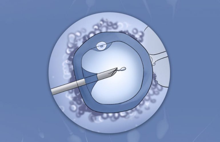 在湛江做试管哪家医院好？湛江试管婴儿成功率