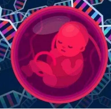 多囊卵巢试管一般几次成功 试管婴儿多囊卵巢成功案例