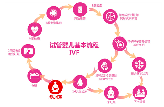 嵌合体胚胎适合试管移植吗?30%嵌合体胚胎能不能移植